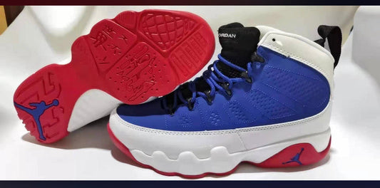 Air Jordan IX